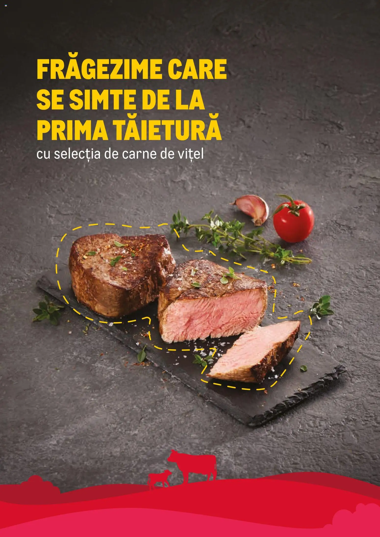 Noul catalog Metro – valabil de la 23.02.2026 | Pagină: 10