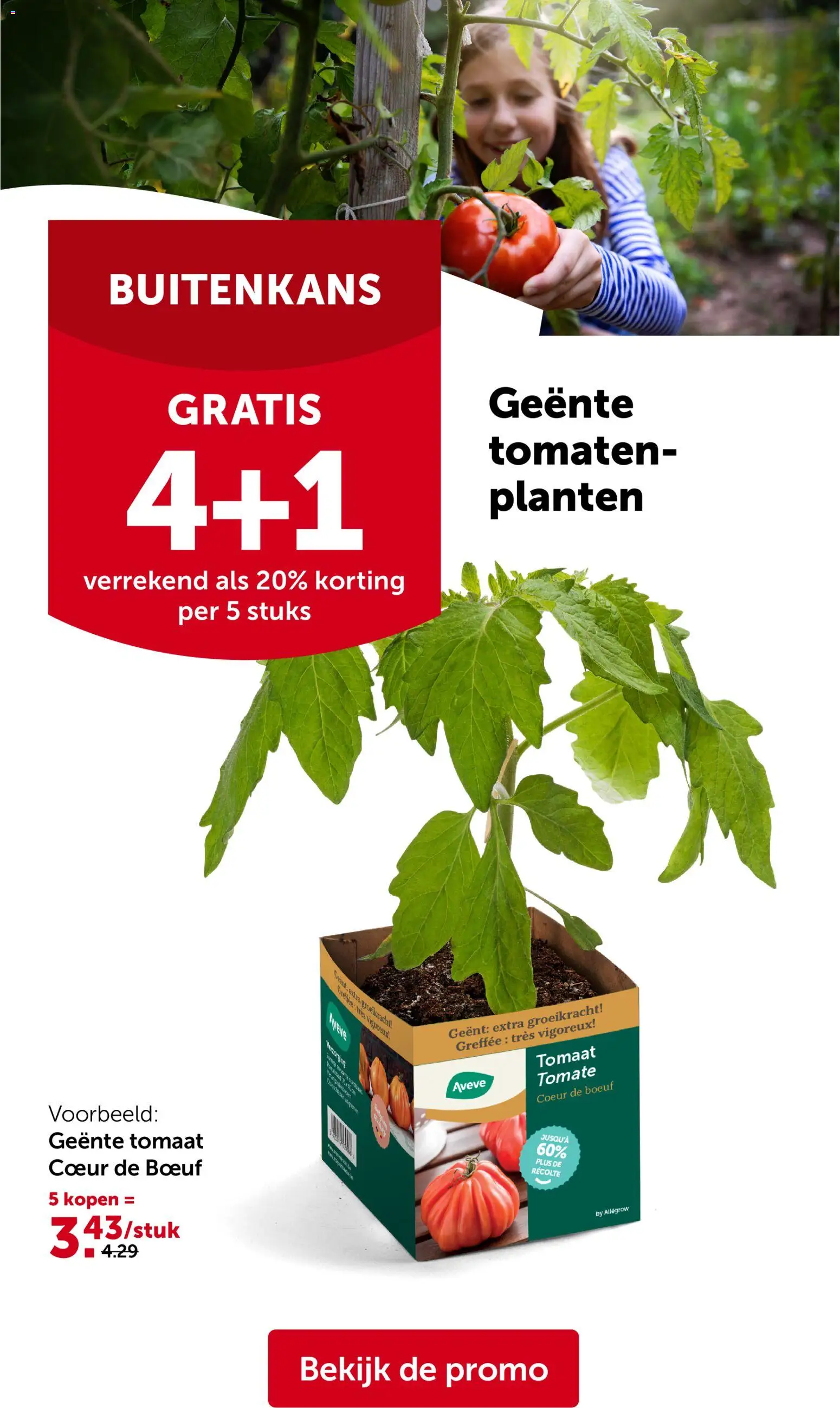 {H1} | Pagina: 8 | Producten: Tomaten, Tomaat