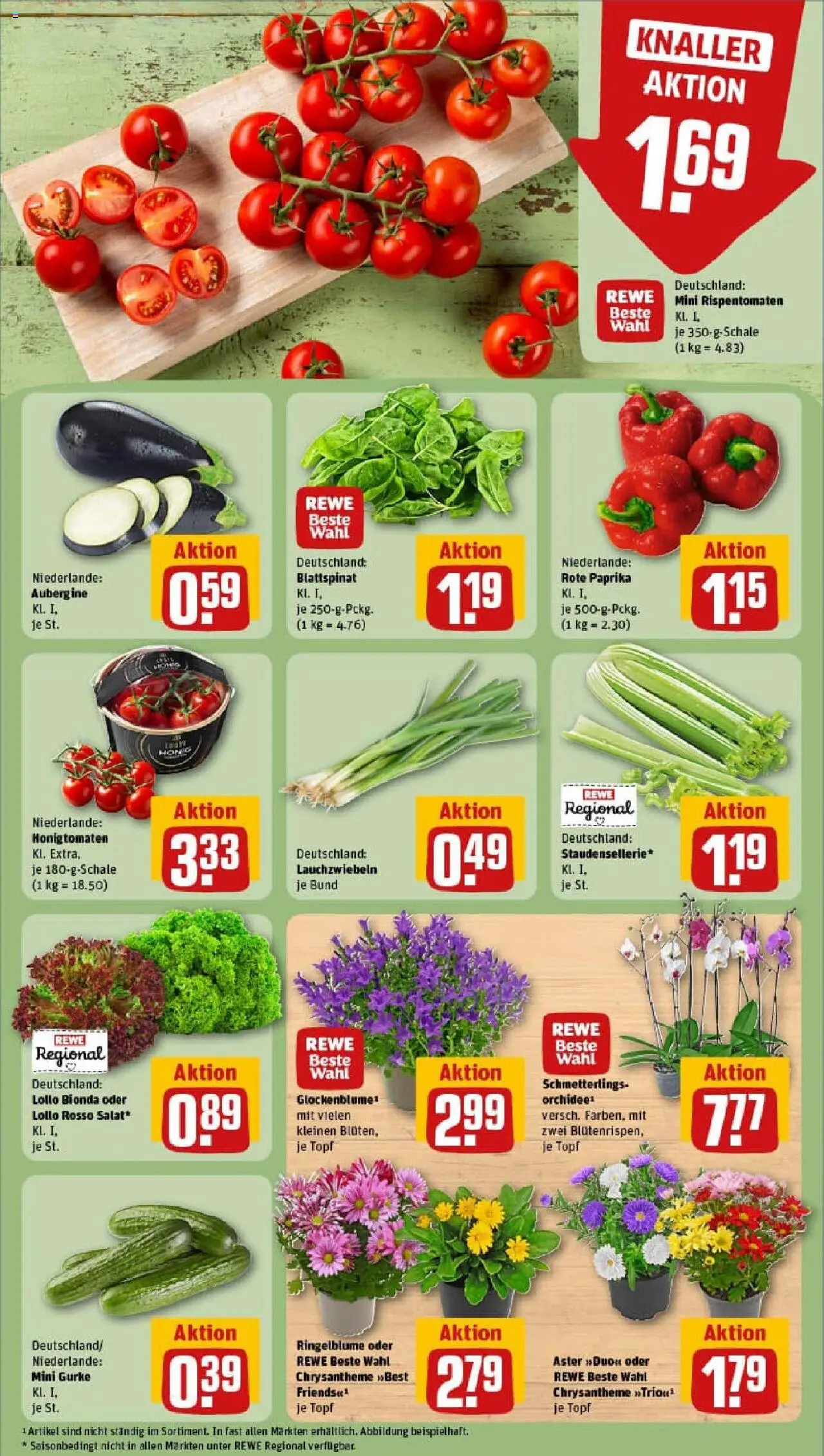 Rewe prospekt Rüsselsheim / Hassloch	 - gültig ab dem 11.08.2025 | Seite: 7 | Produkte: Paprika, Aubergine, Salat