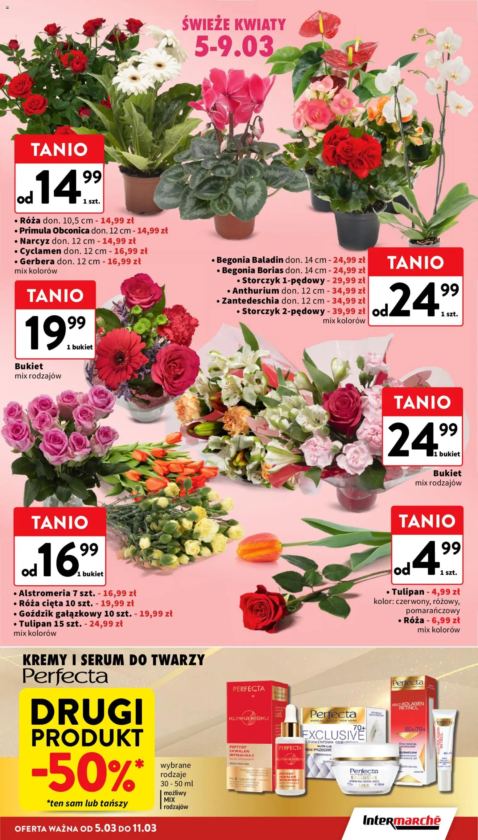 Intermarche gazetka od 05.03.2026 | Strona: 11 | Produkty: Goździk, Storczyk, Krem, Kwiaty