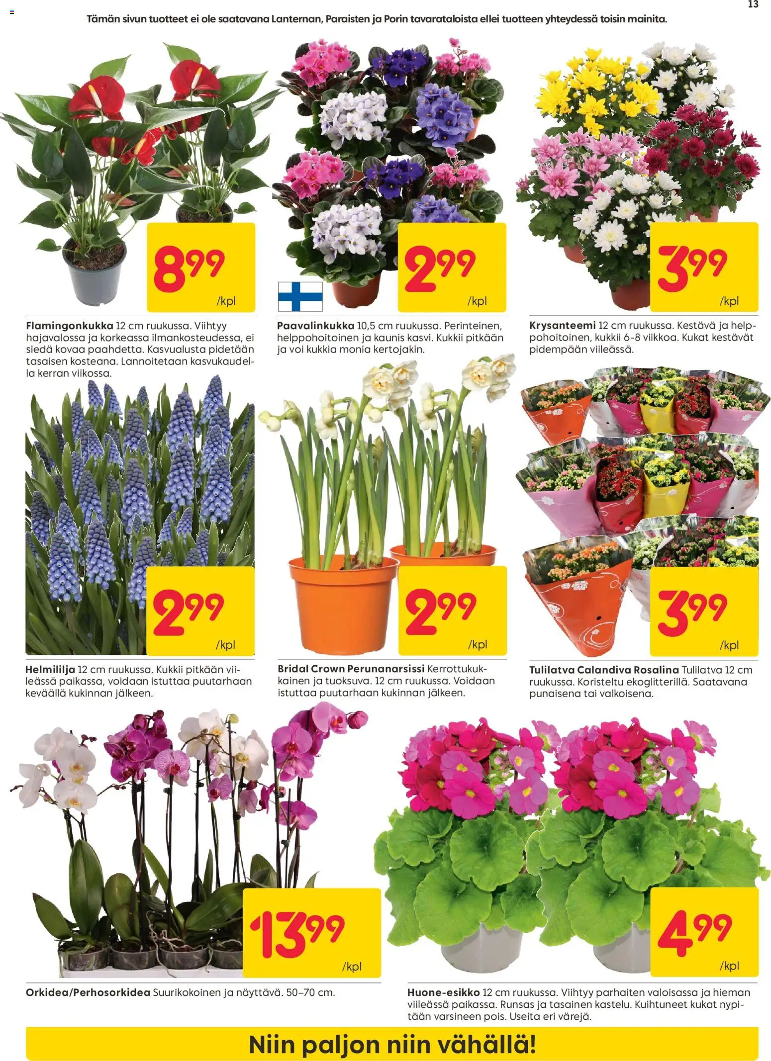 Rusta tarjoukset – voimassa 26.01.2026 alkaen | Sivu: 13