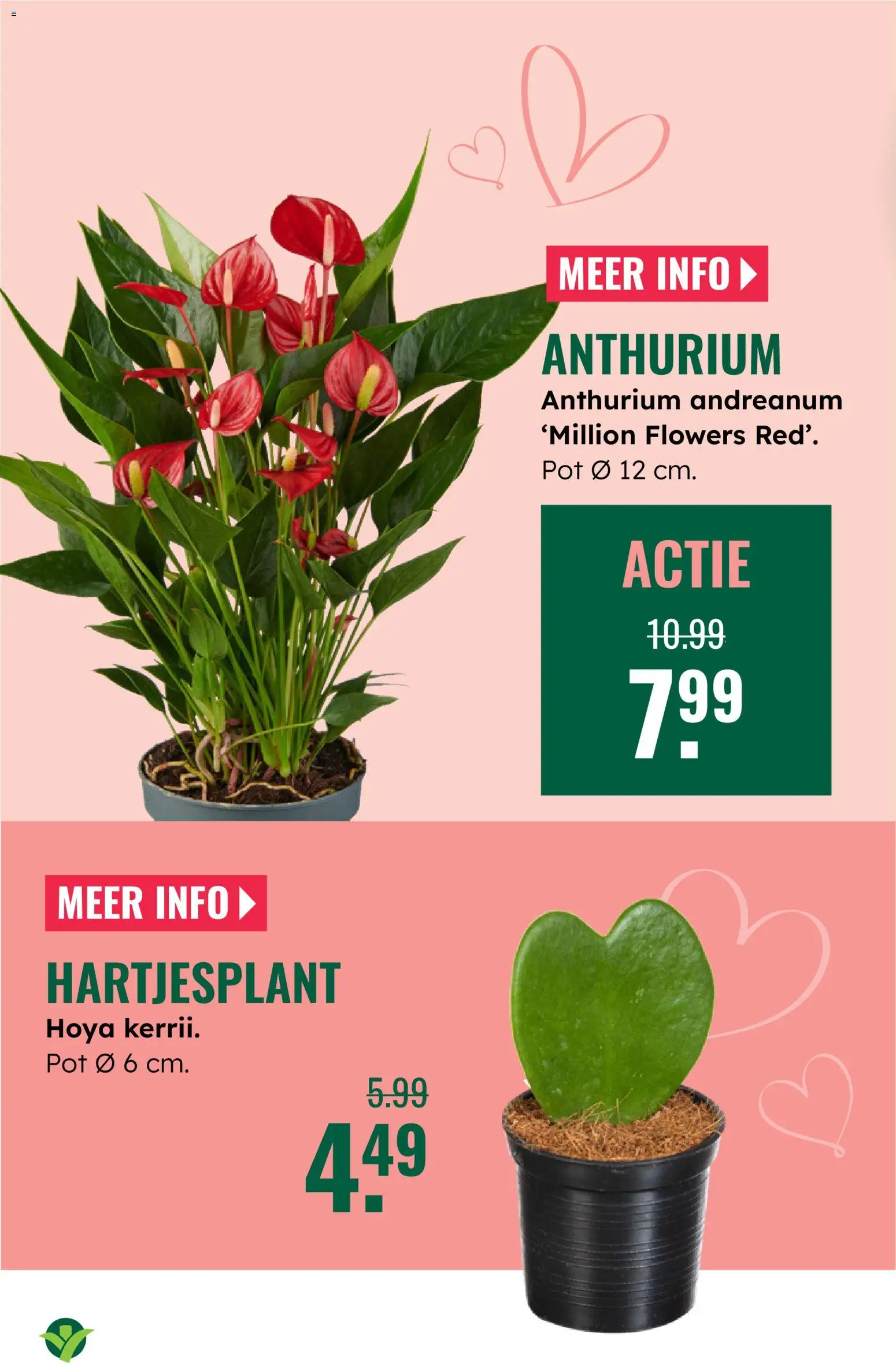 {H1} | Pagina: 14 | Producten: Pot