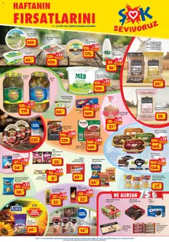 17.09.2025 tarihinden itibaren geçerli olan Şok Market kataloğu önizlemesi