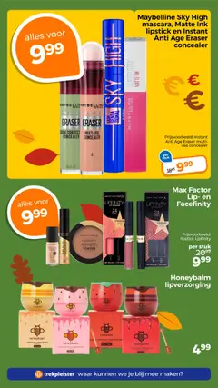 Trekpleister - Folder - Voorbeeld van een folder van Trekpleister, geldig van 14.10.2025 | Pagina: 10 | Producten: Concealer, Bronzer, Bal