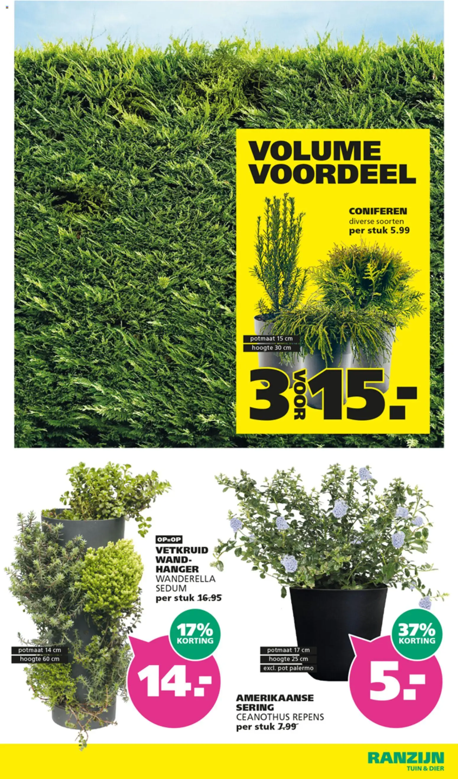 {H1} | Pagina: 5 | Producten: Hanger, Pot