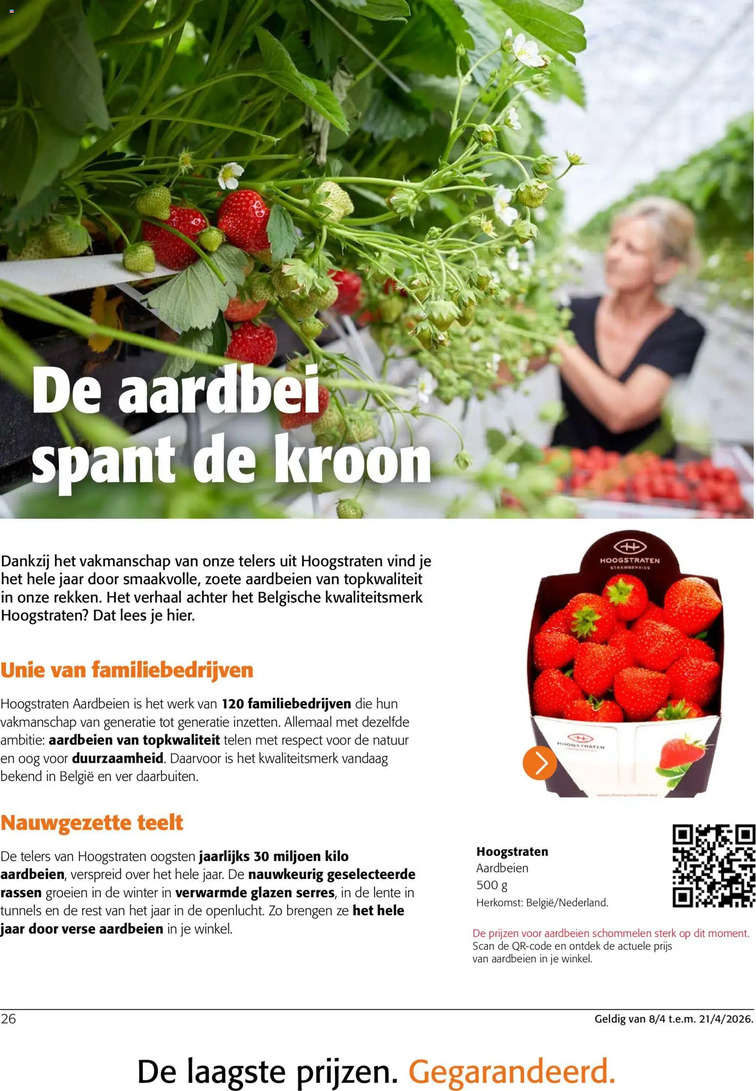 {H1} | Pagina: 26 | Producten: Aardbeien, Aardbei