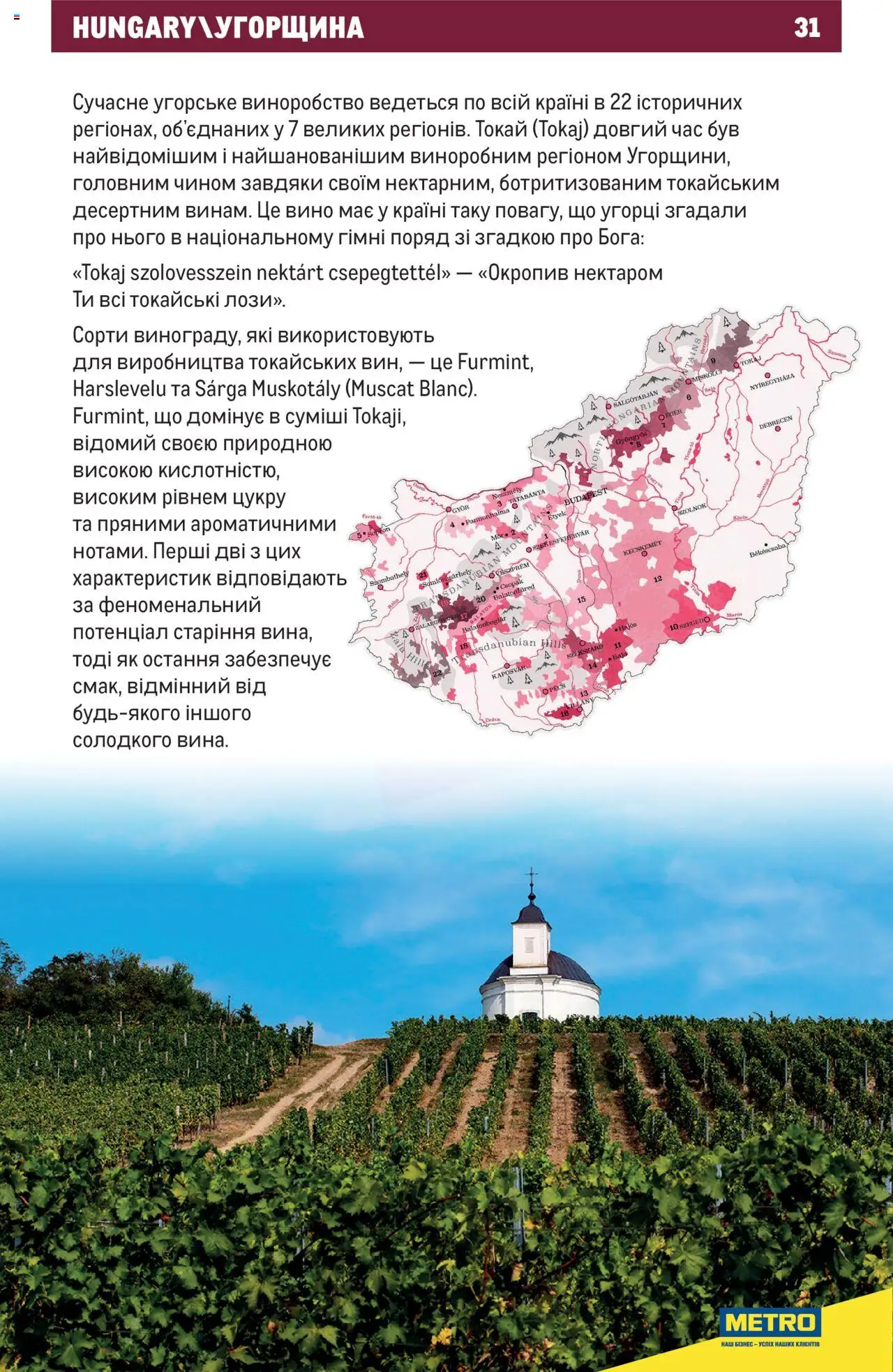 Metro Kаталог - дійснийкції з 03.07.2023 | Сторінка: 31 | Товари: Вино