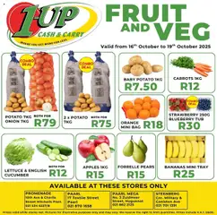 1UP Cash & Carry specials catalogue – valid from 16.10.2025