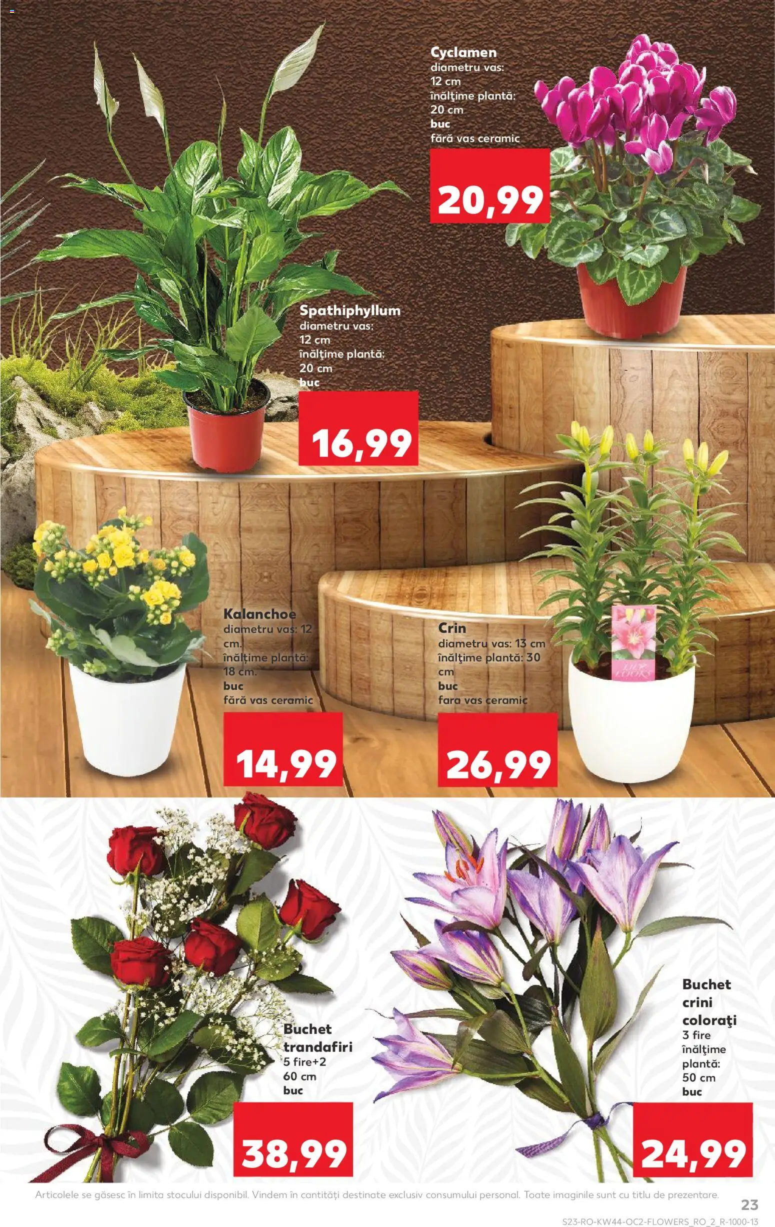 Kaufland RO akciós ujság - amely érvényes a következő dátumtól: 29.10.2025 | Oldal: 23