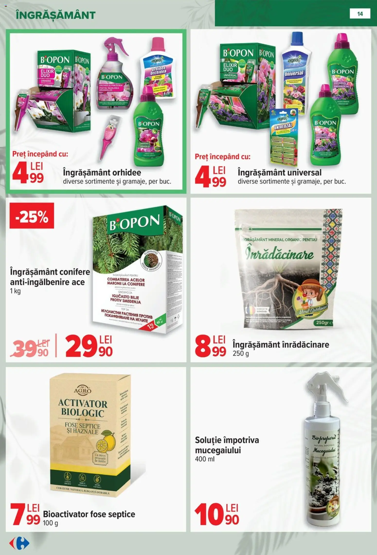 Noul catalog Carrefour – valabil de la 11.02.2026 | Pagină: 14 | Produse: Elixir, Orhidee