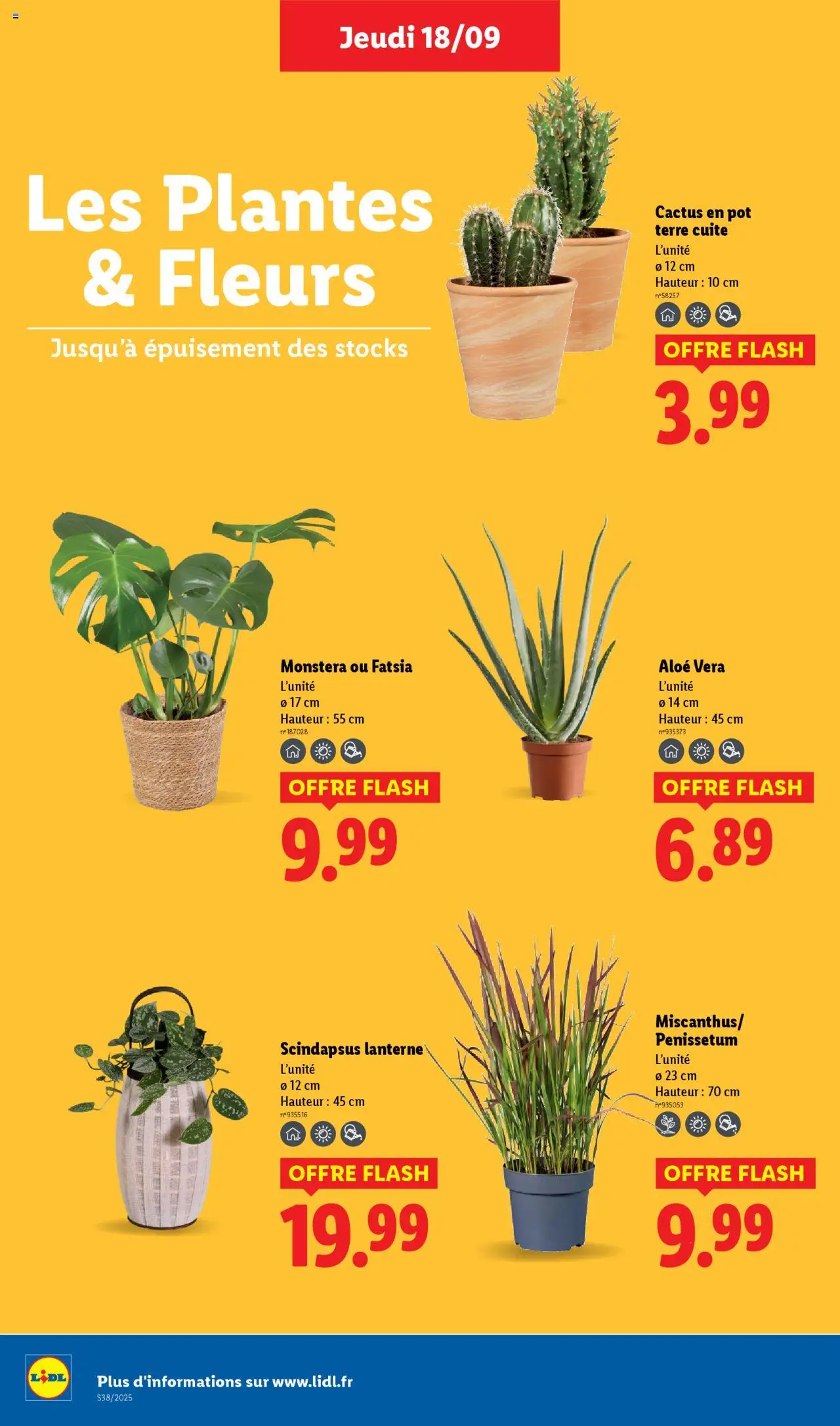  | Page: 30 | Produits: Plantes