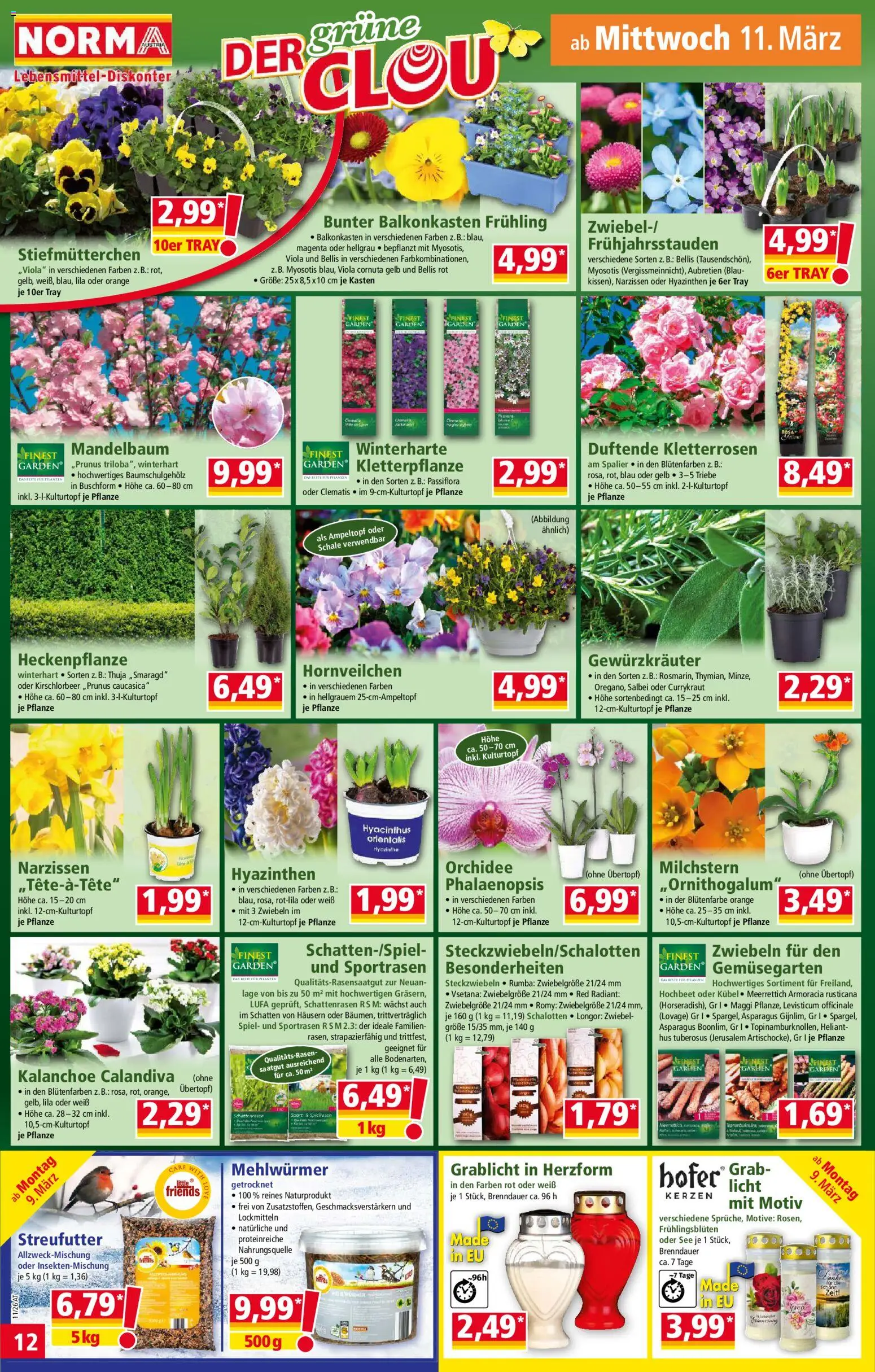Norma Flugblatt gültig ab 09.03.2026 | Seite: 12 | Produkte: Zwiebeln, Spiel