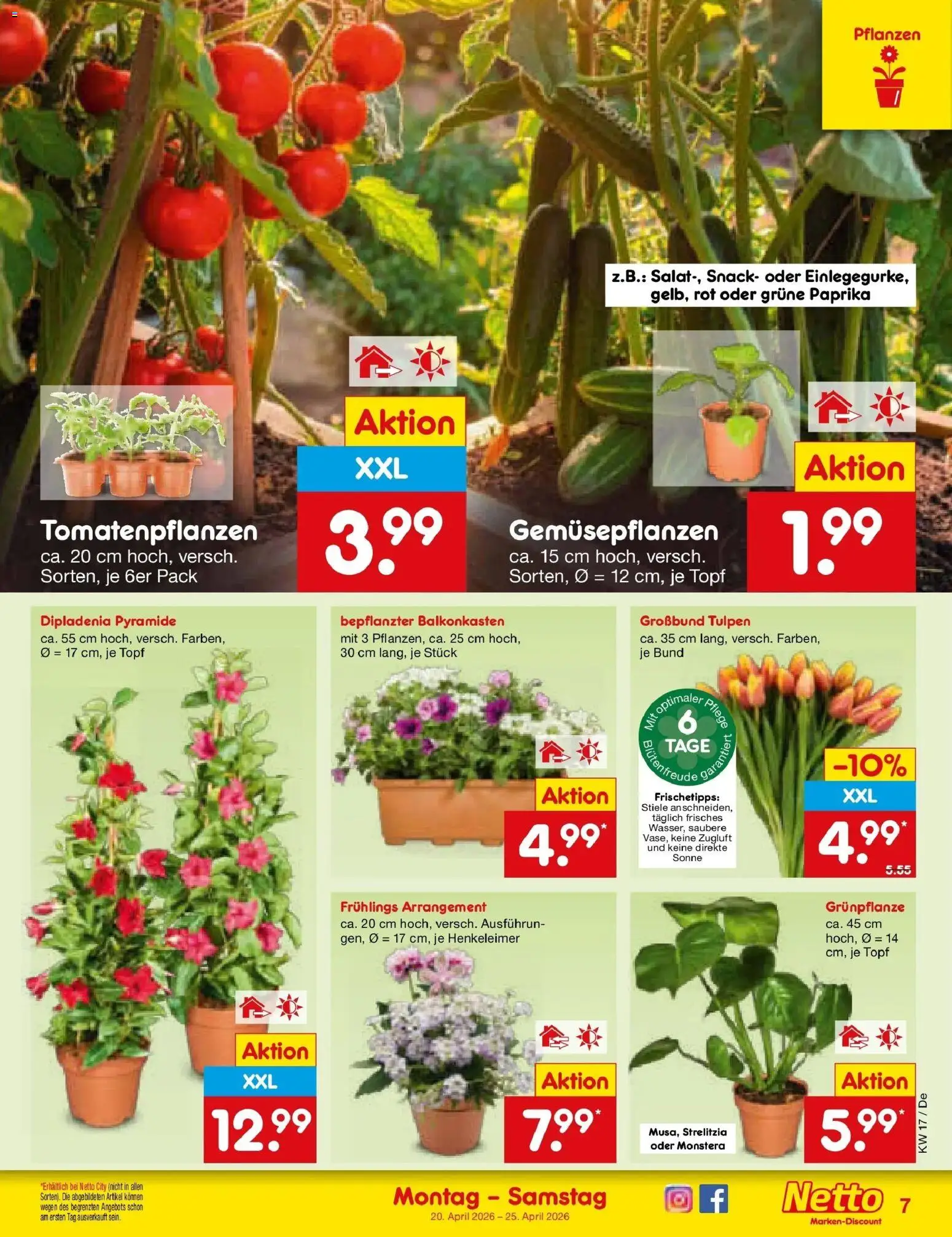 Netto Marken-Discount Prospekt Buttenwiesen	 – gültig ab 20.04.2026 | Seite: 9 | Produkte: Paprika