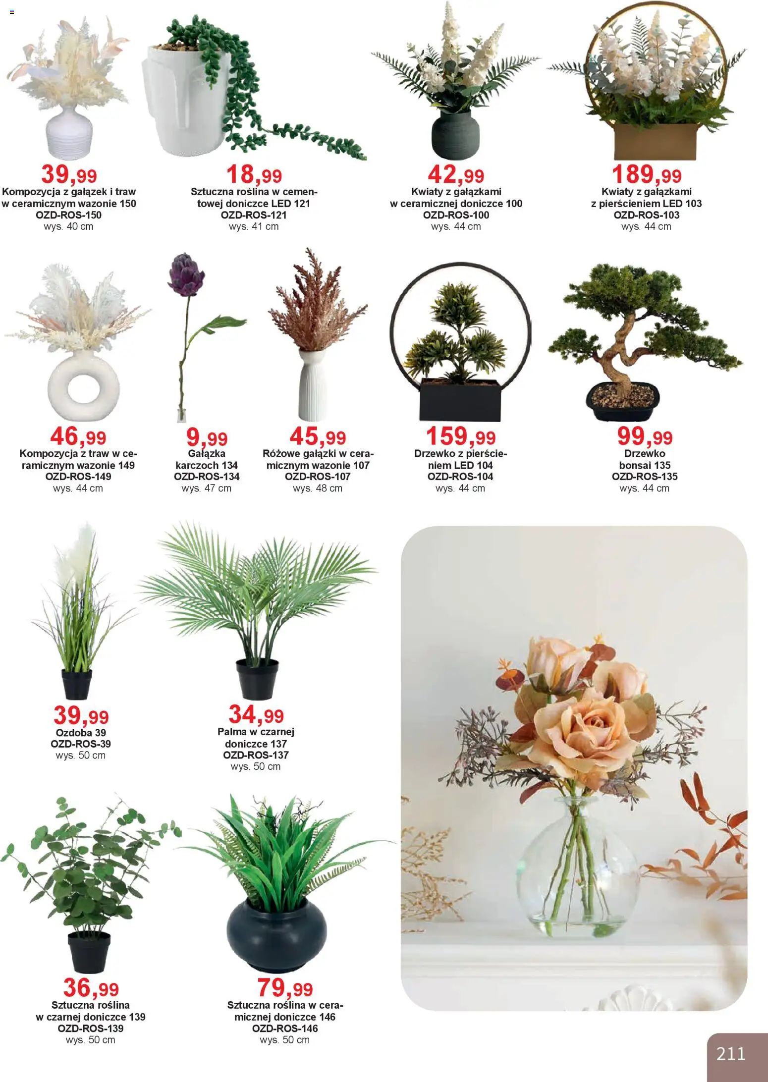 Bodzio Katalog od 01.01.2026 | Strona: 211 | Produkty: Kwiaty