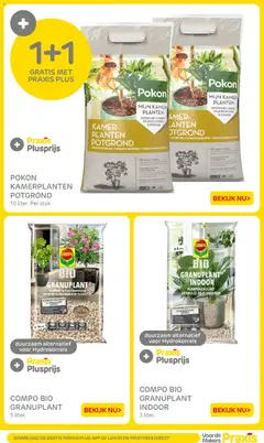 Praxis - Folder - Voorbeeld van een folder van Praxis, geldig van 26.01.2026 | Pagina: 13 | Producten: Kamerplanten, Festék