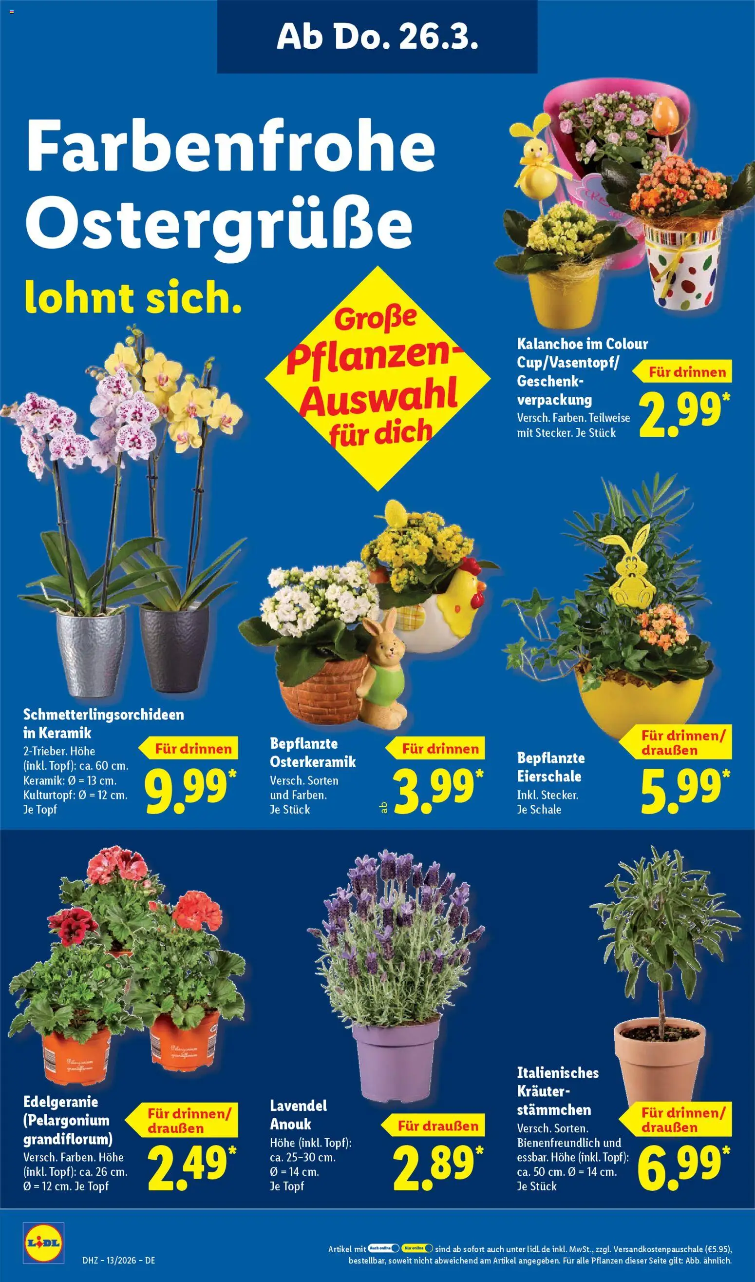 Lidl Prospekt – gültig ab 23.03.2026 | Seite: 18 | Produkte: Lavendel