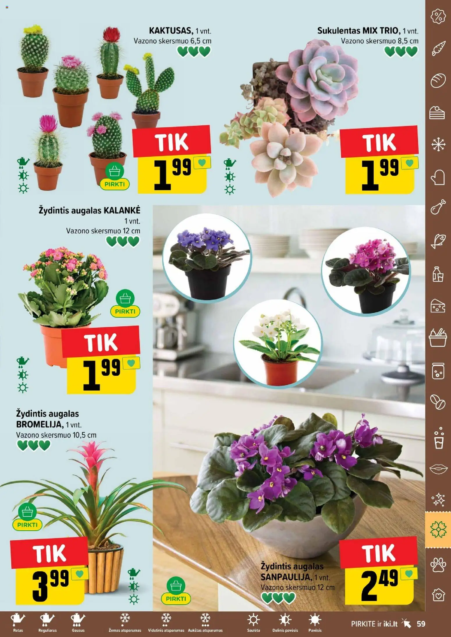 IKI akcijos nuo 12.01.2026 | Puslapis: 59