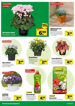 Hagebau Flugblatt gültig ab 17.09.2025 | Seite: 2 | Produkte: Flocken