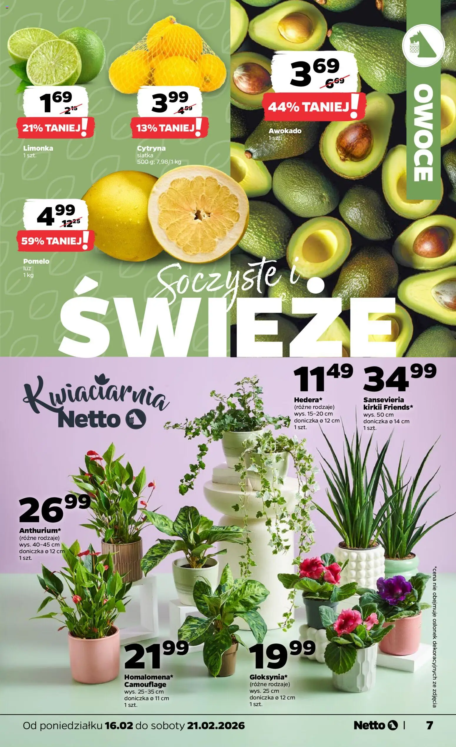 Netto gazetka - Spożywcza od 16.02.2026 | Strona: 7 | Produkty: Cytryna, Pomelo, Doniczka, Awokado
