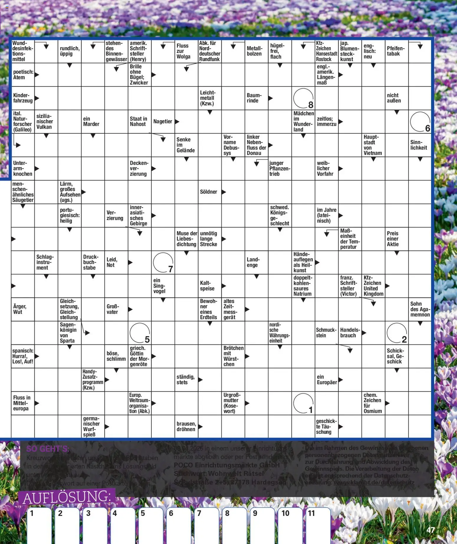 Poco Prospekt Wohnwelt Frühling 2026 – gültig ab 16.02.2026 | Seite: 47 | Produkte: Blumen, Wurst, Brille