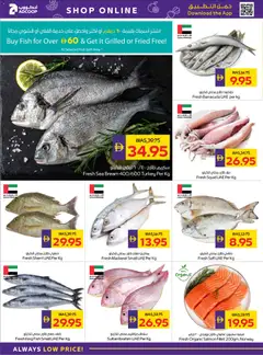 Preview of Abu Dhabi Coop offers valid from 08.01.2026 | Page: 4 | Products: Хладилник, Saltstænger