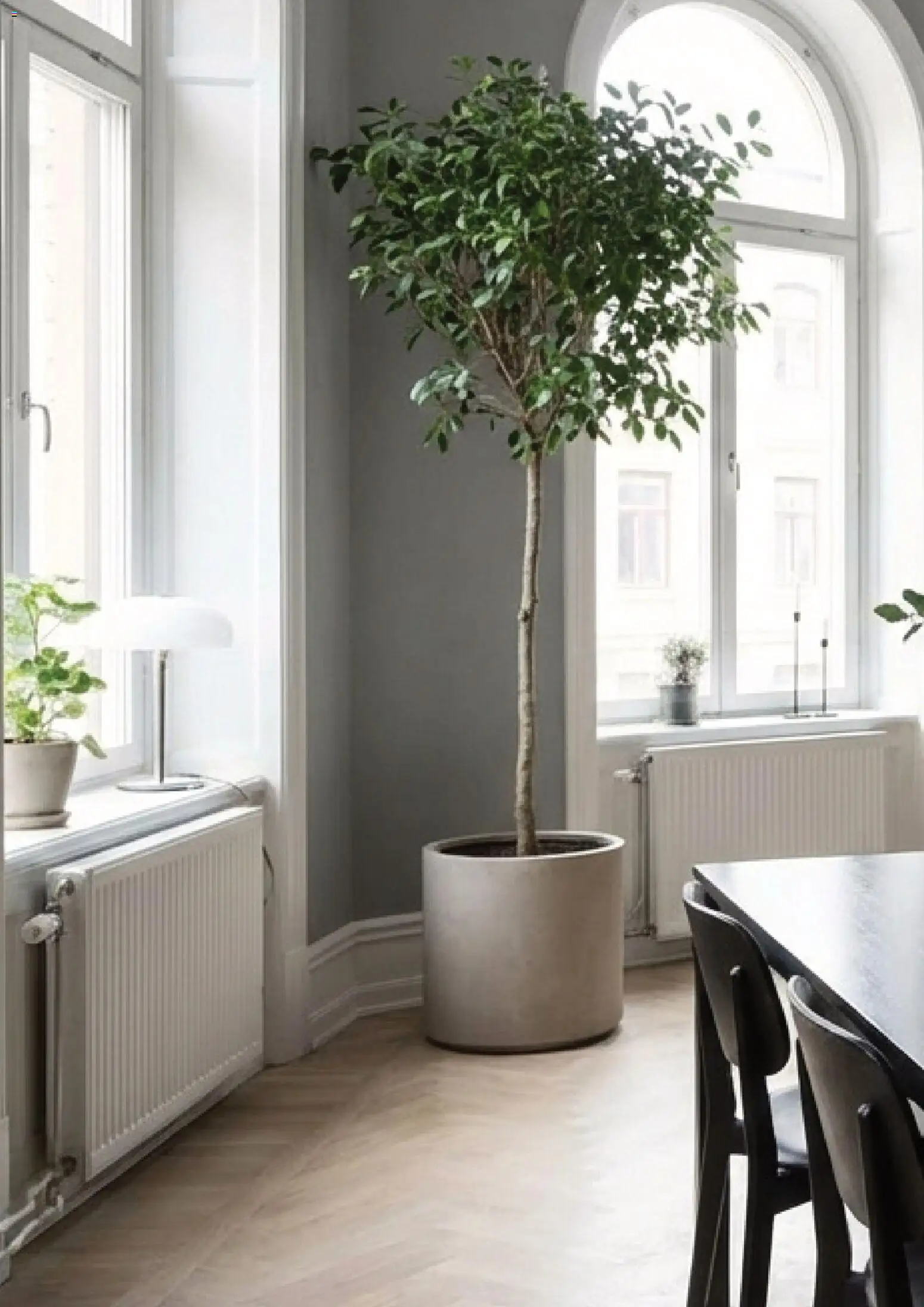 Plantagen reklamblad aktuell från 13.01.2026 | Sida: 14