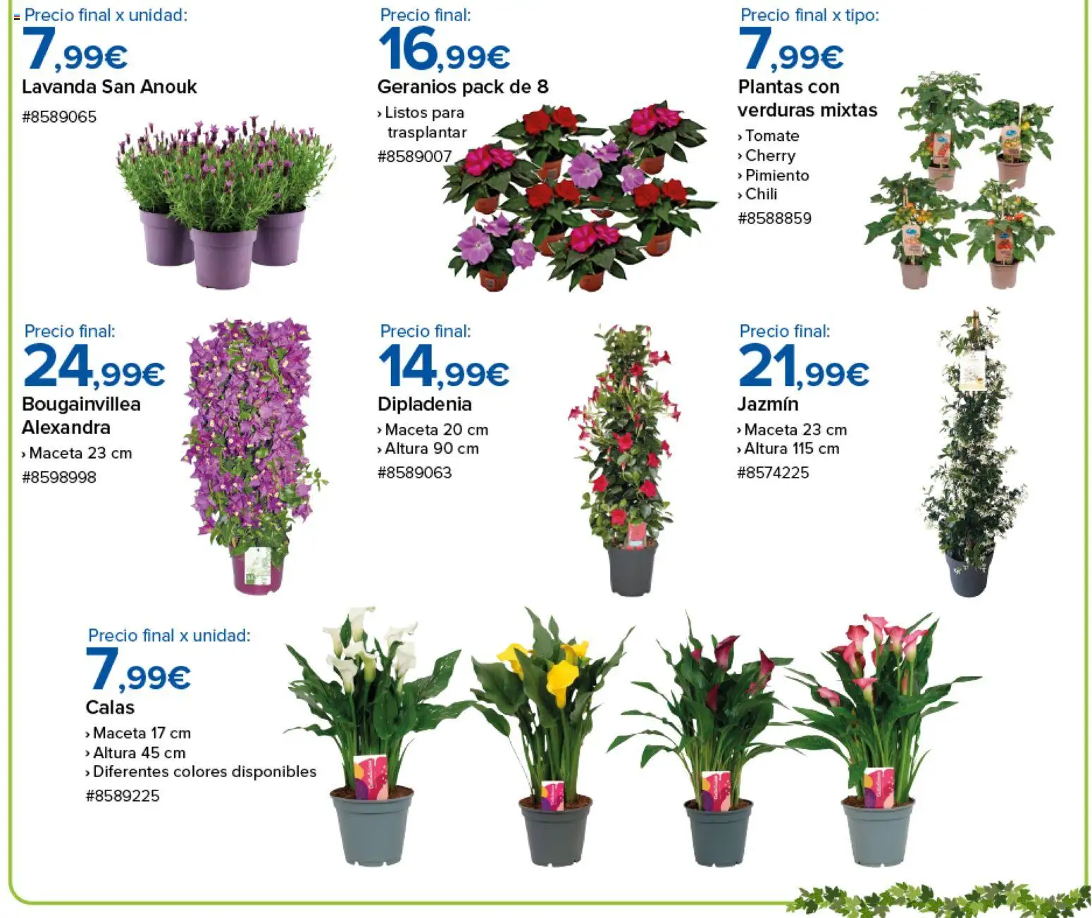 Costco catálogo │ válido desde el 10.04.2026 | Página: 6