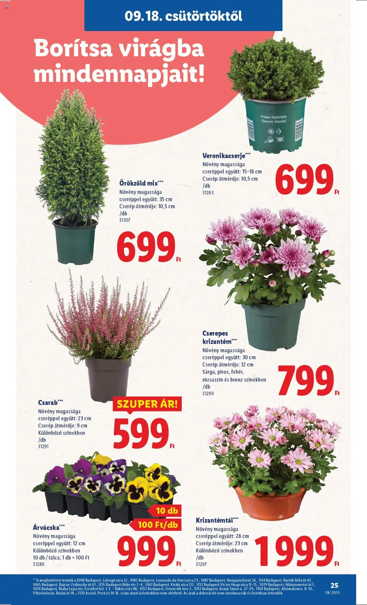 Lidl akciós ujság - amely érvényes a következő dátumtól: 18.09.2025 | Oldal: 25 | Termékek: Árvácska