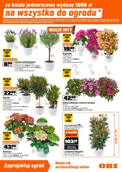 Pogląd oferty "OBI gazetka" - ważna od 22.04.2026 | Strona: 3 | Produkty: Rosliny