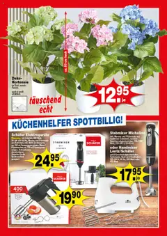 KRÜMET Prospekt – gültig ab 22.09.2025 | Seite: 4 | Produkte: Hortensie, Handmixer, Stabmixer