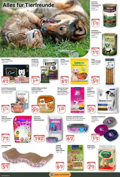Globus Prospekt 	 – gültig ab 15.09.2025 | Seite: 18 | Produkte: Ente