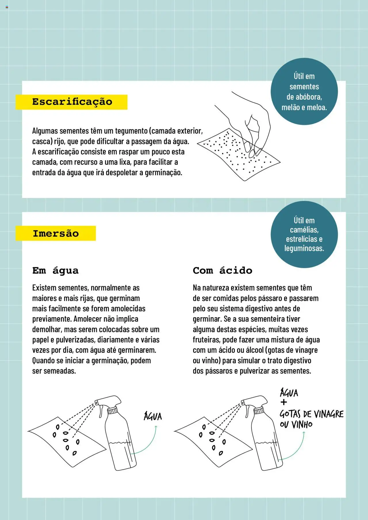 BricoMarché Sementeiras │ válido de 17.01.2024 | Página: 3 | Produtos: Vinagre, Vinho, Melão