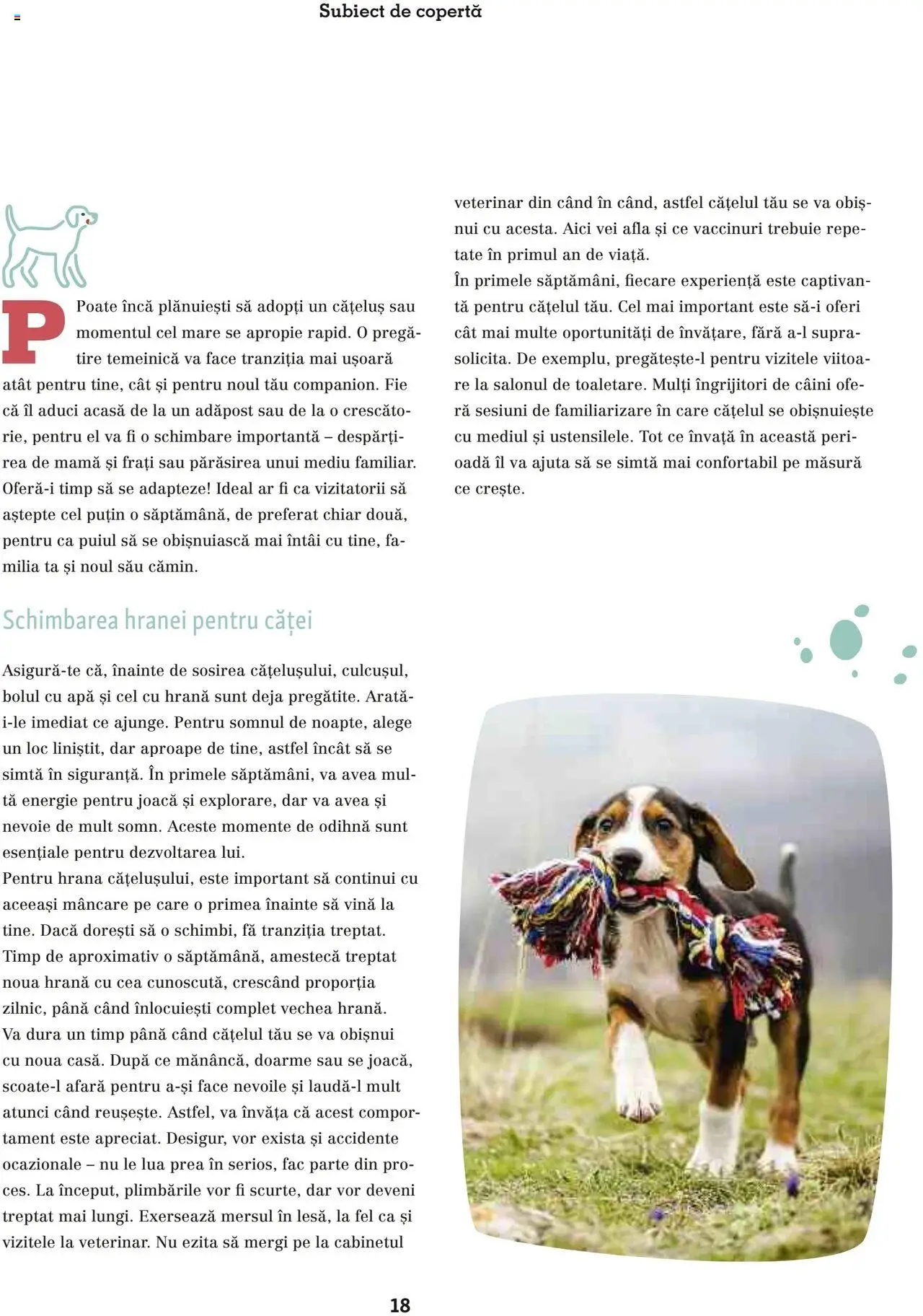 Noul catalog Fressnapf – valabil de la 05.05.2025 | Pagină: 18 | Produse: Apă