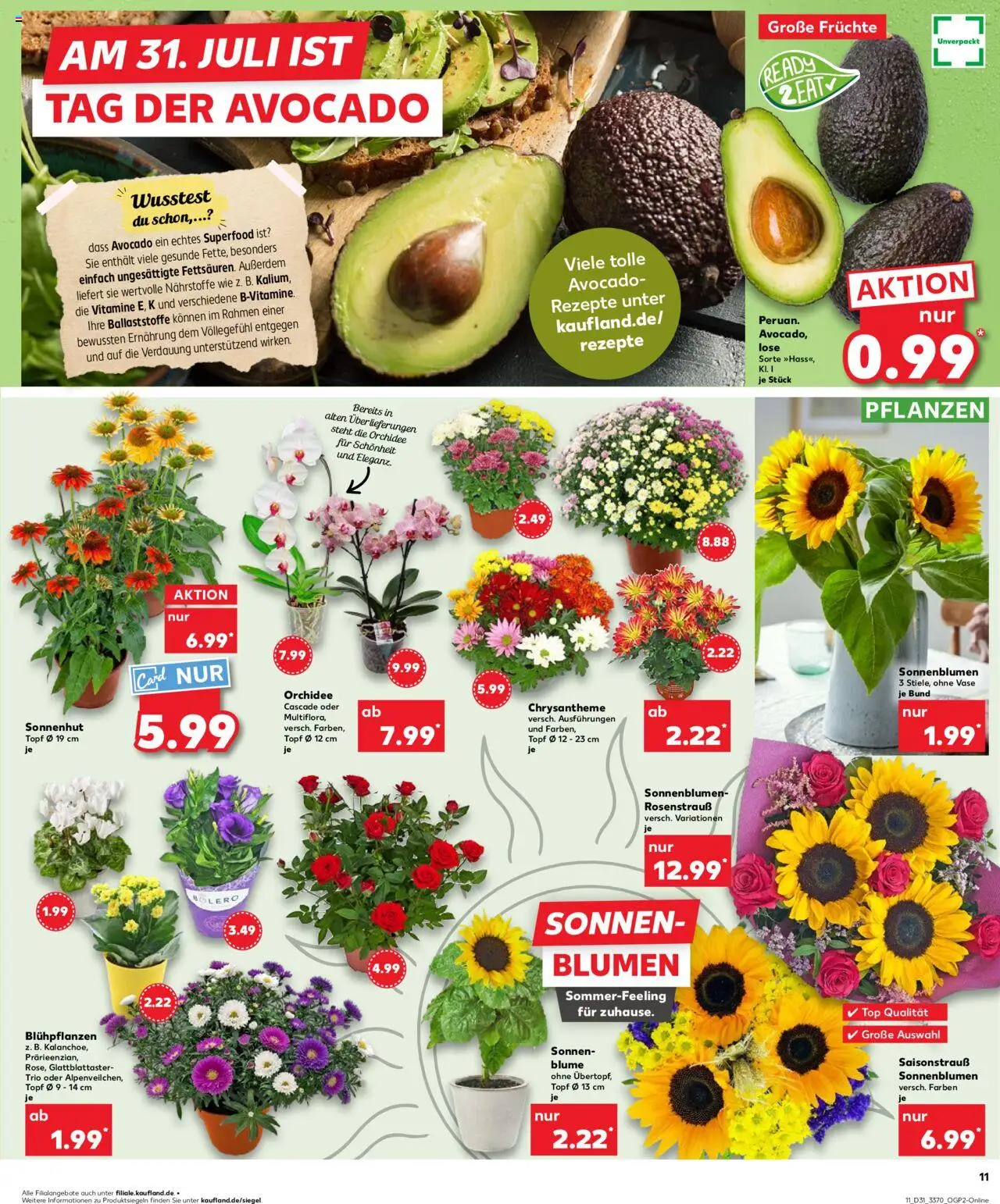 Kaufland Prospekt 	 - gültig ab dem 31.07.2025 | Seite: 11 | Produkte: Top, Blumen, Vase, Avocado