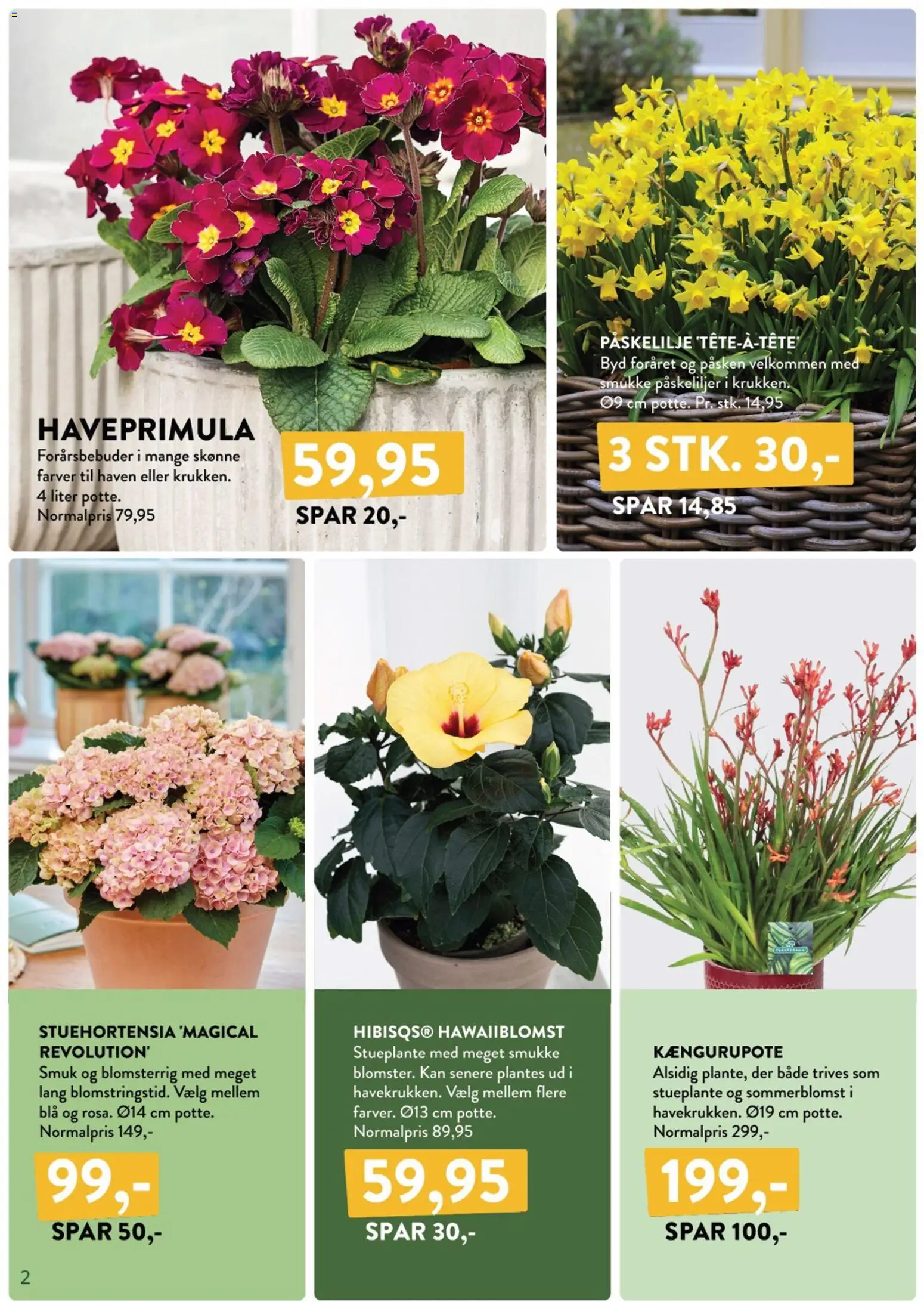 🛍️ Plantorama - Tilbudsavis fra 27/03/2026 » Se eksklusive tilbud og spar penge i dag! 💰 | Danmark
