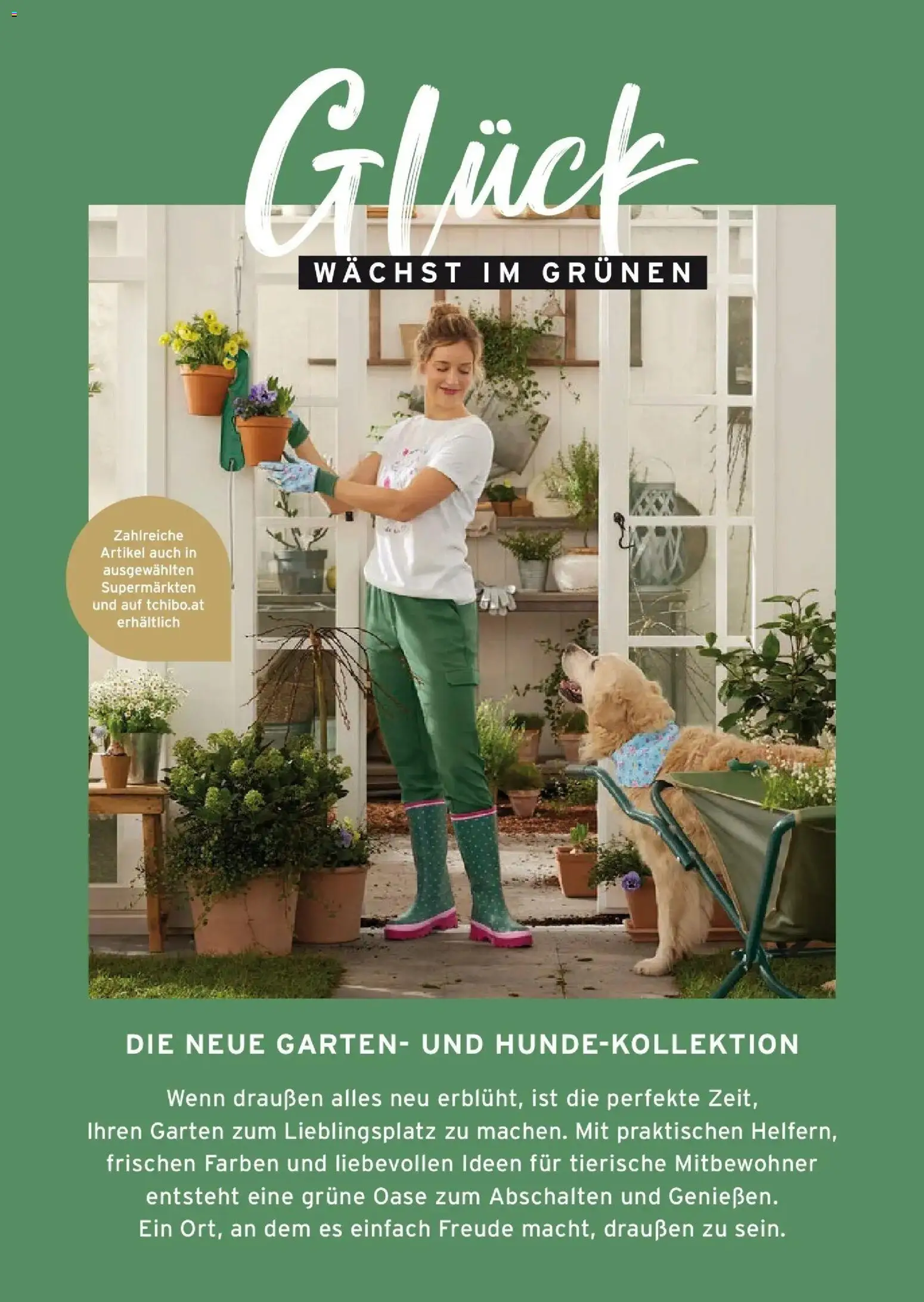 Tchibo Eduscho Tchibo Magazin gültig ab 01.04.2026 | Seite: 2