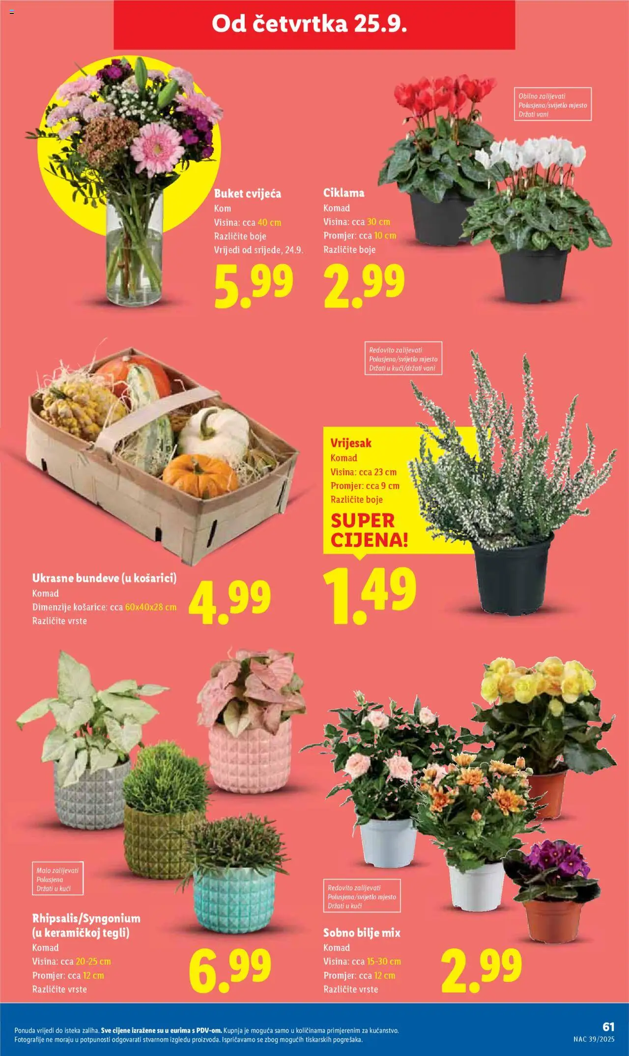 Lidl katalog | vrijedi od 22.09.2025 | Stranica: 61