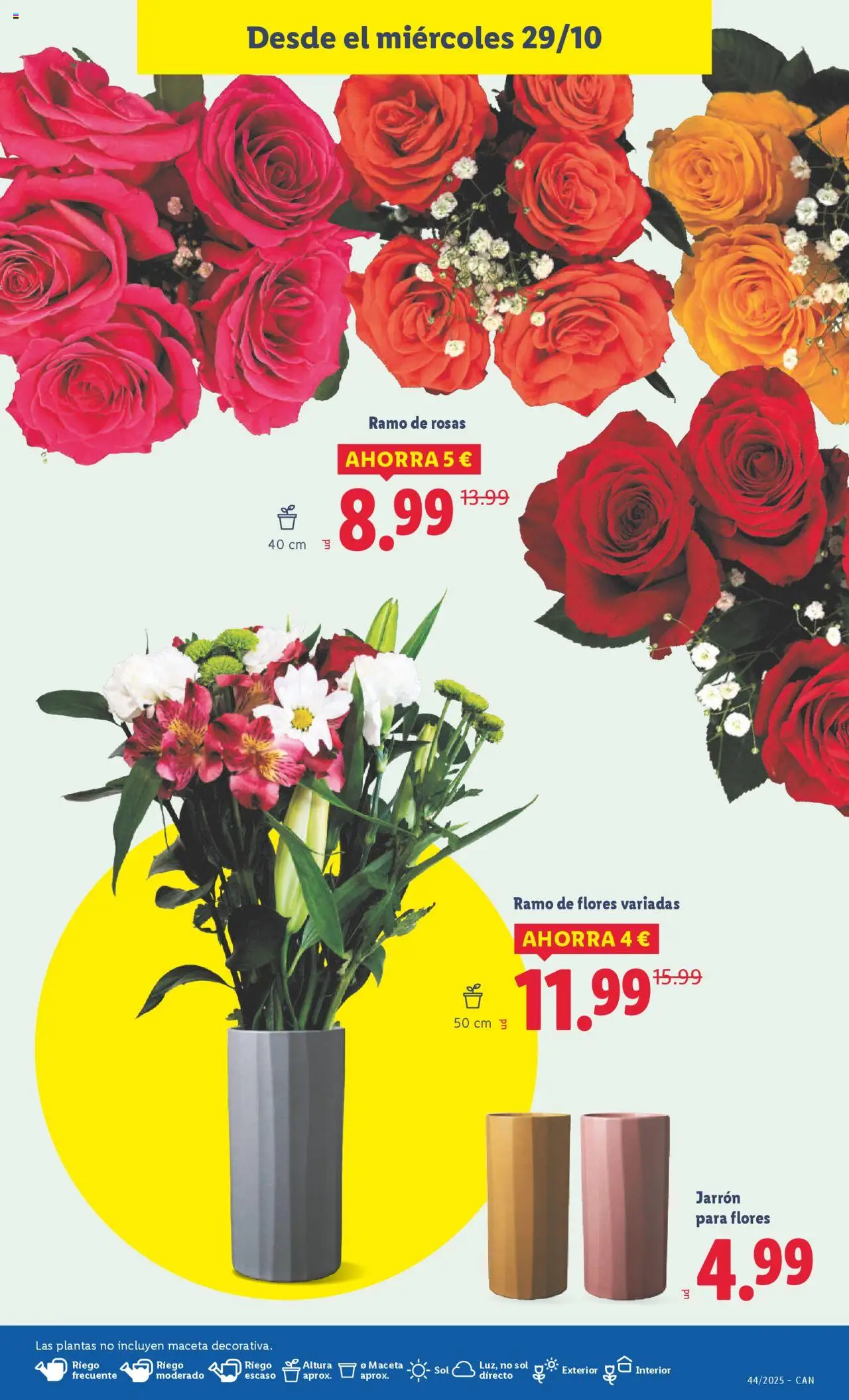 Lidl - Canarias │ válido desde el 27.10.2025 | Página: 17 | Productos: Maceta, Jarrón