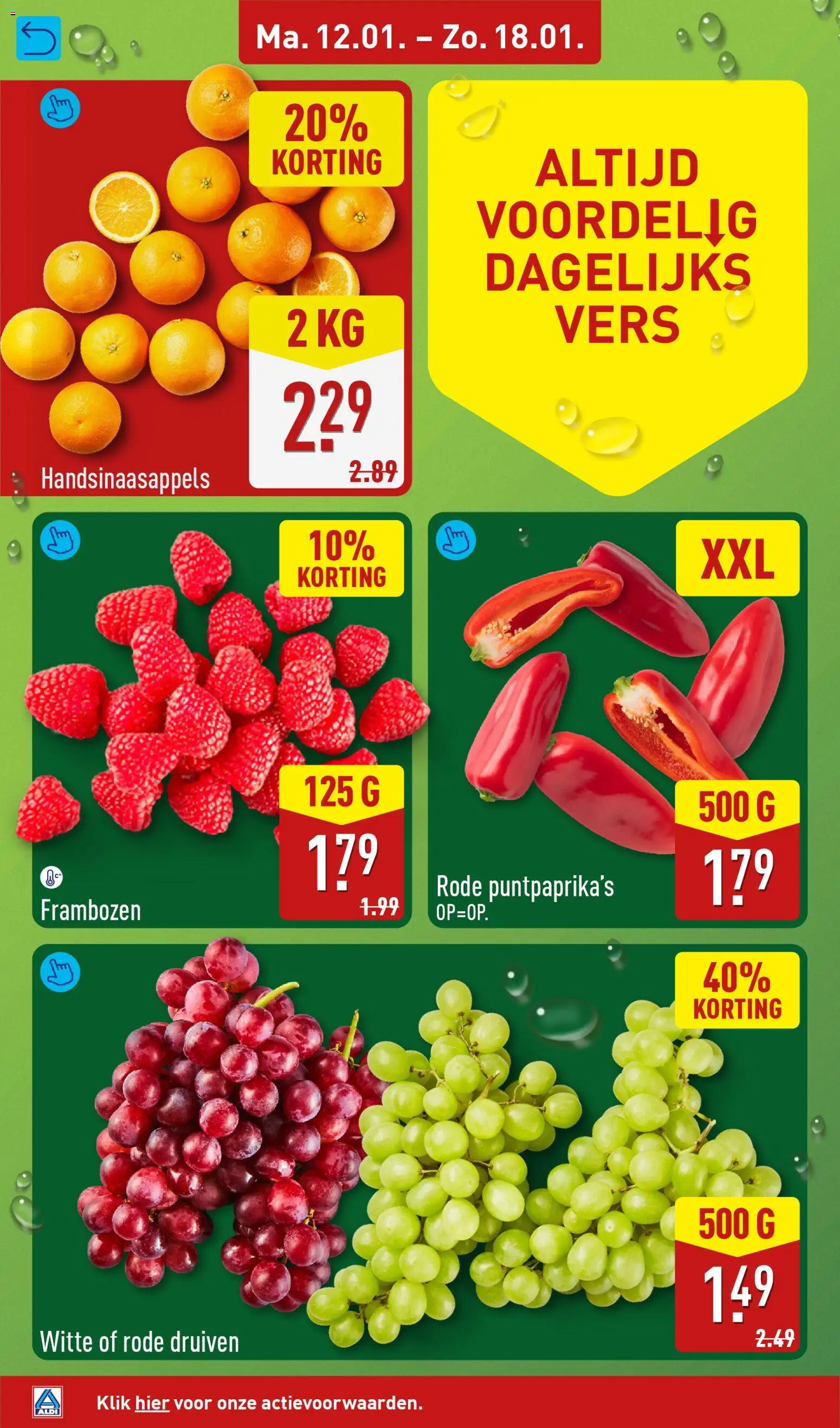 {H1} | Pagina: 4 | Producten: Druiven, Frambozen