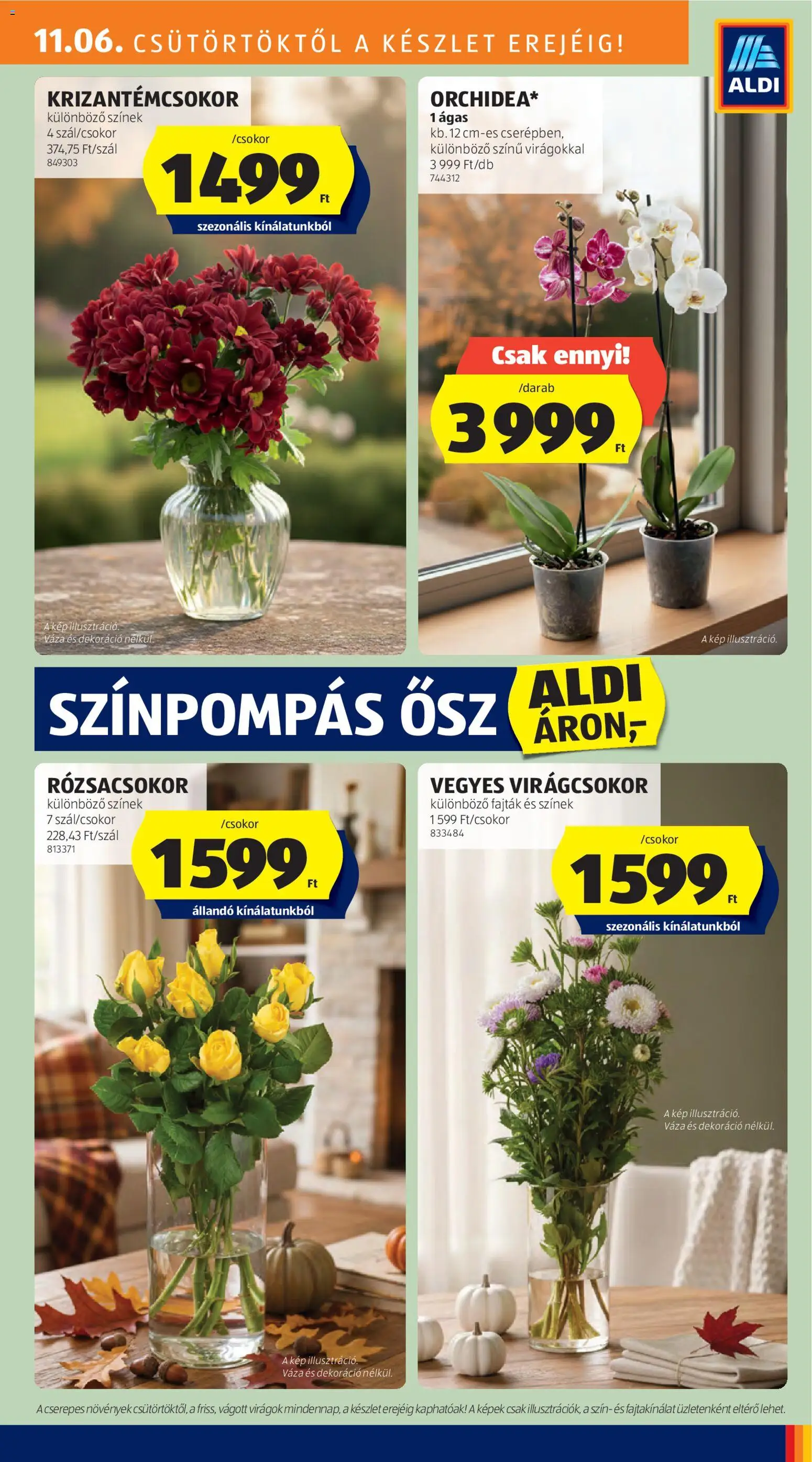 Aldi akciós ujság - amely érvényes a következő dátumtól: 06.11.2025 | Oldal: 31 | Termékek: Virágok, Váza, Dekoráció