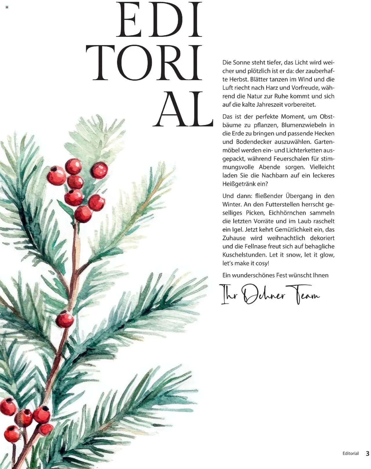 Dehner Prospekt Deine Natur – gültig ab 09.10.2025 | Seite: 3 | Produkte: Obst