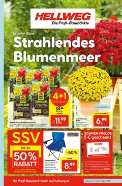 Vorschau von dem Prospekt - HELLWEG Steindorf / Straßwalchen gültig ab 07.08.2025