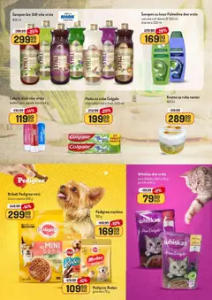 Aman dobar komšija - pregled Aman kataloga - važi od 13.10.2025 | Strana: 37 | Proizvode: Colgate, Palmolive, Krema, Krema za ruke