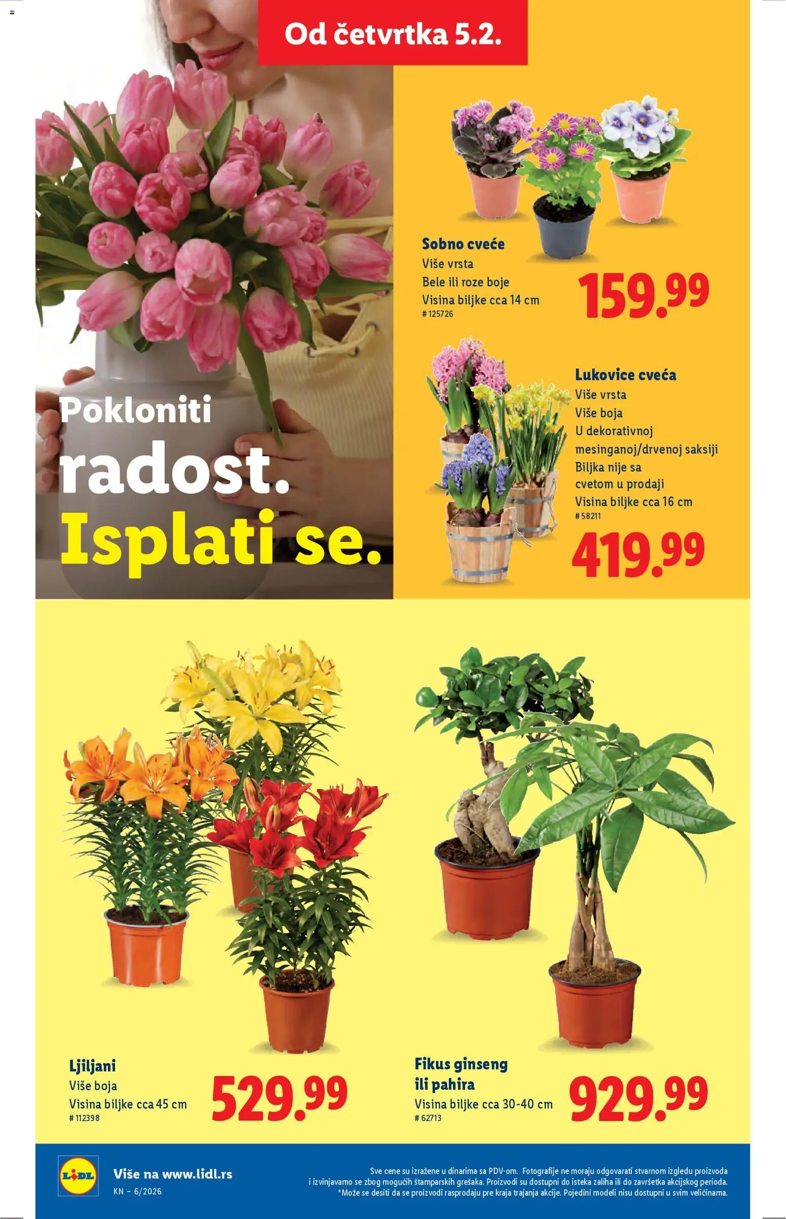 Lidl katalog - važi od 05.02.2026 | Strana: 54 | Proizvode: Cvece