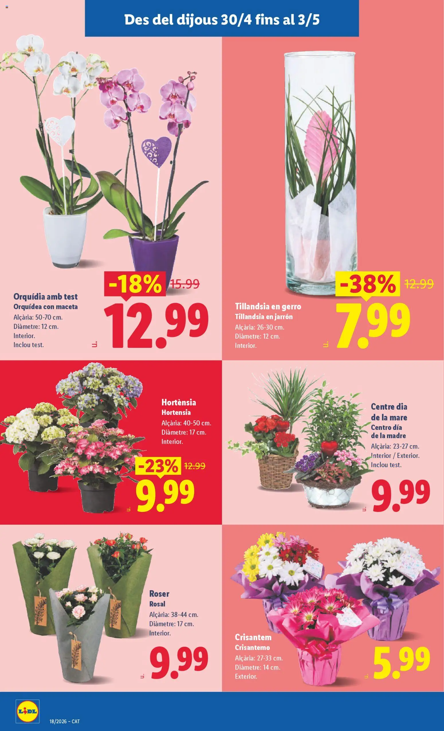 Lidl folleto │ válido desde el 27.04.2026 | Página: 46 | Productos: Maceta, Jarrón