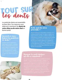  | Page: 46 | Produits: Jouets, Chouchou, Dentifrice, Pâtes