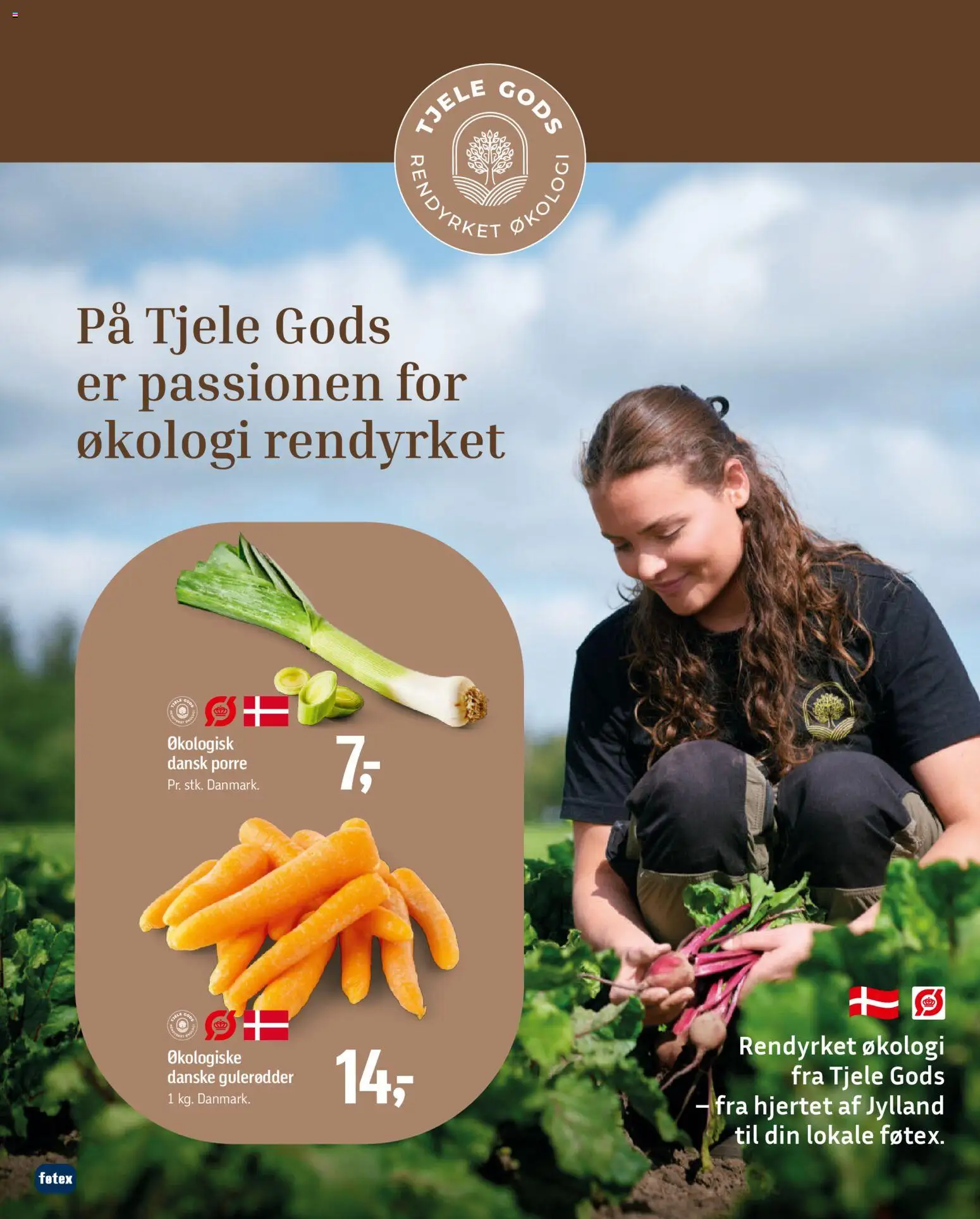 Føtex tilbudsavis – gyldig fra 02.01.2026 | Side: 36 | Produkter: Gulerødder, Lingerie