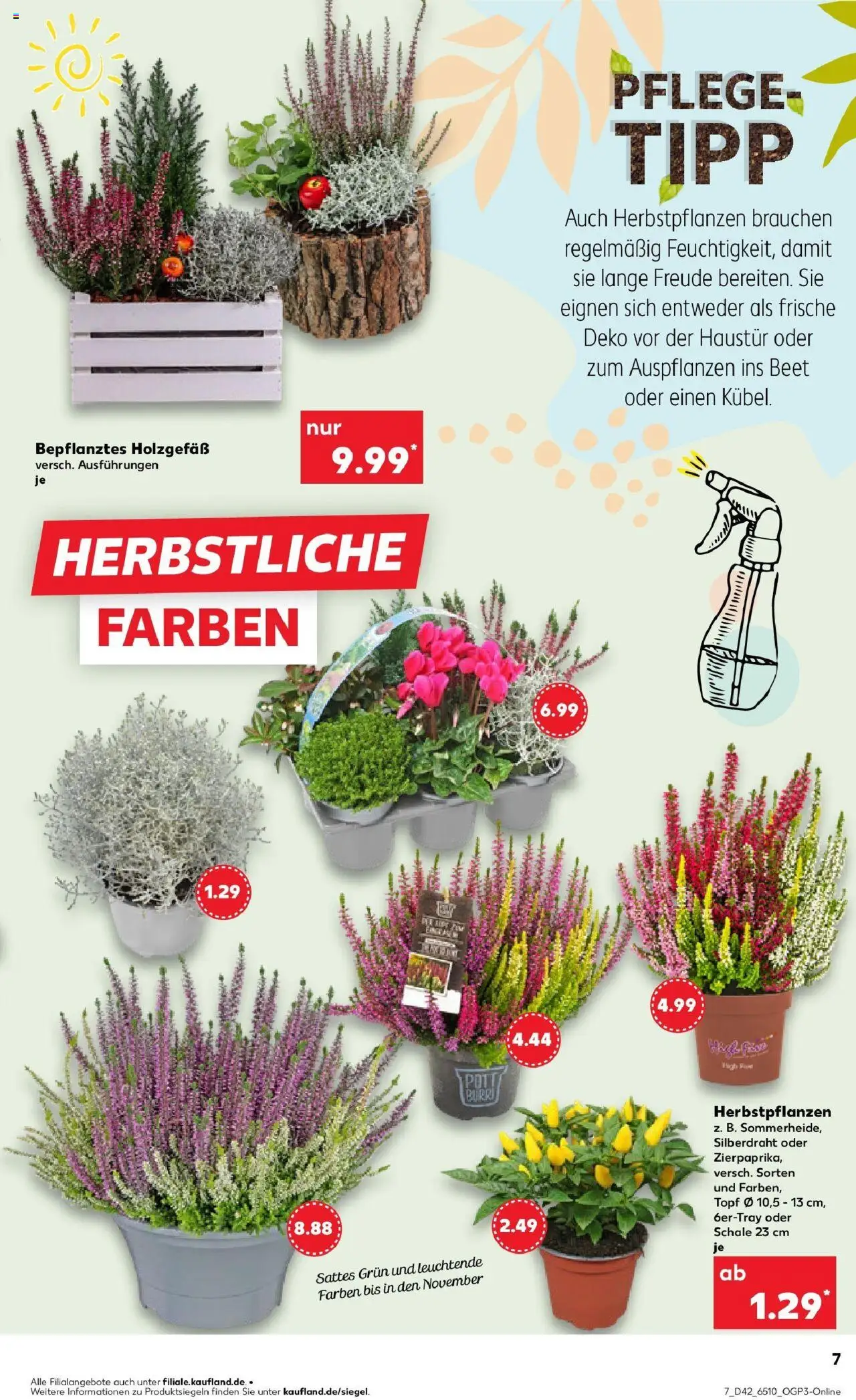 Kaufland prospekt Wuppertal	 – gültig ab 15.10.2025 | Seite: 7