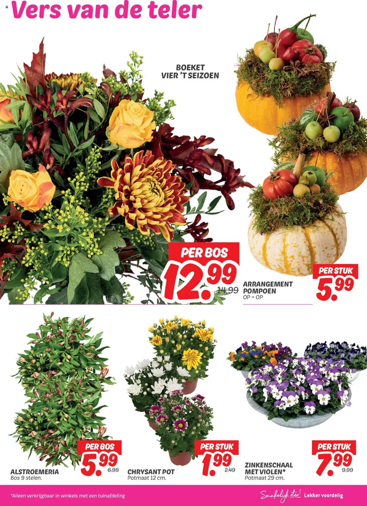 {H1} | Pagina: 23 | Producten: Pompoen, Pot