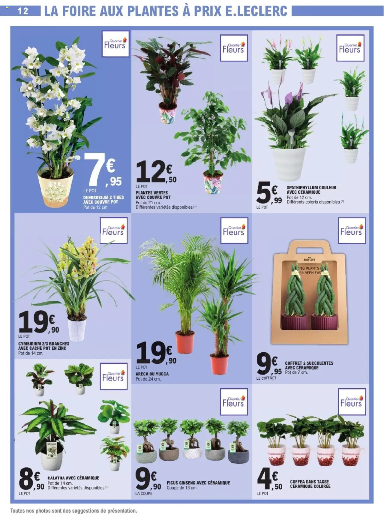  | Page: 12 | Produits: Plantes